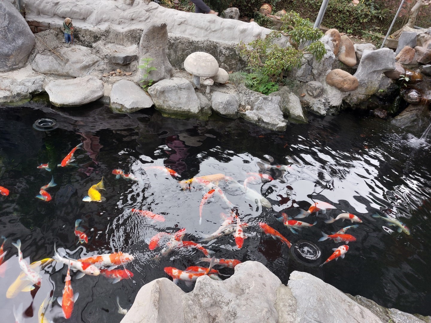 z4149113145960_1db0cd4f85255528316fcabefca29664